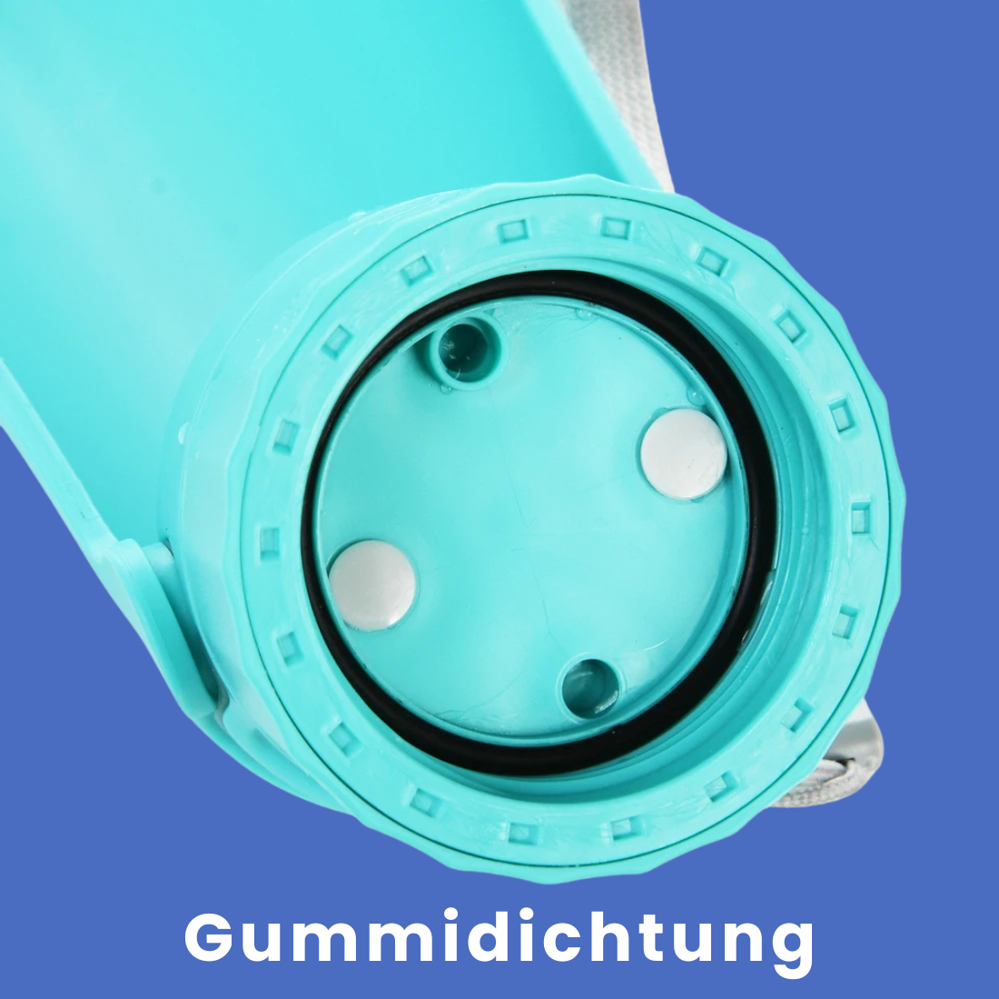 HydroPup