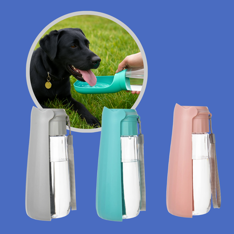 HydroPup