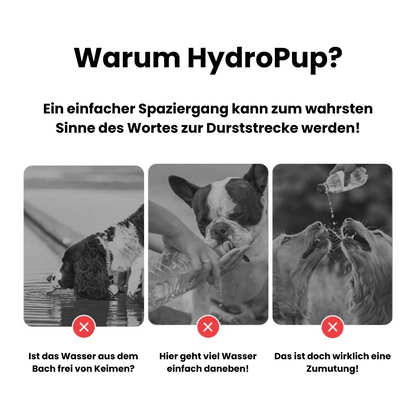 HydroPup