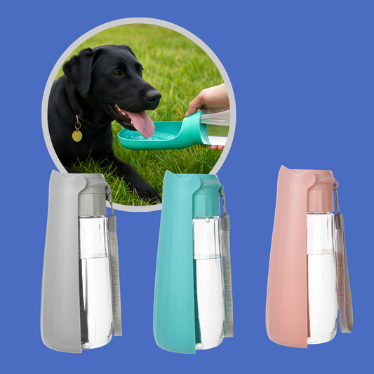 HydroPup