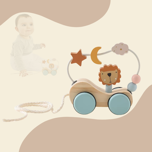Leo´s Traumwagen