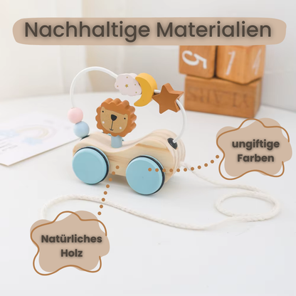 Leo´s Traumwagen